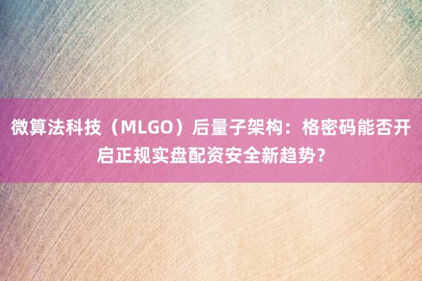 微算法科技（MLGO）后量子架构：格密码能否开启正规实盘配资安全新趋势？