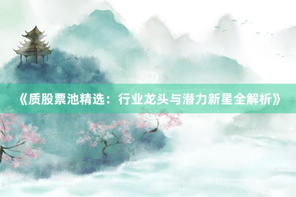 《质股票池精选：行业龙头与潜力新星全解析》